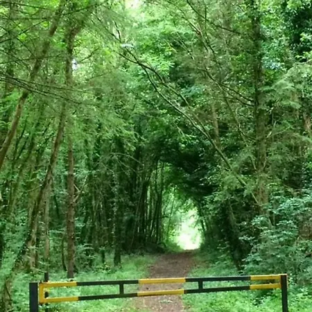 Hébergement de vacances Rosewood Galway