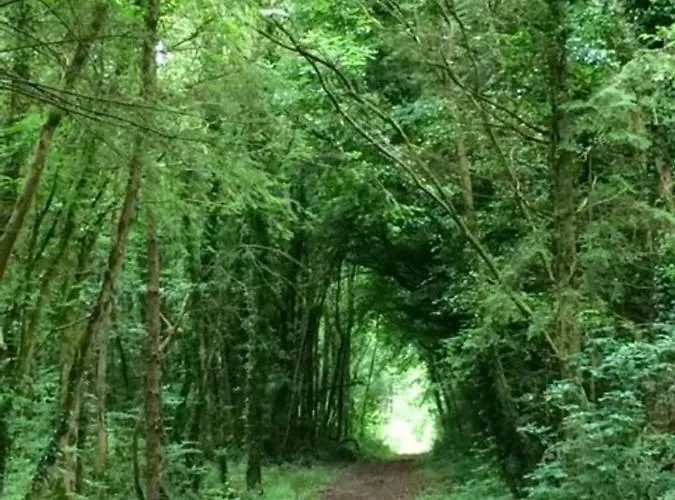 펜션 Rosewood 골웨이